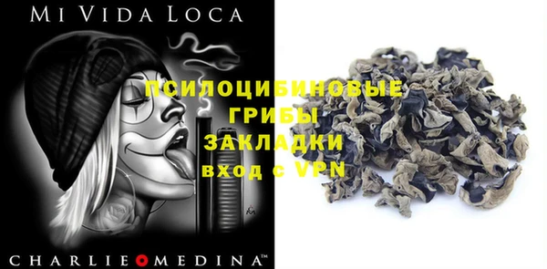прущий лед Алексин