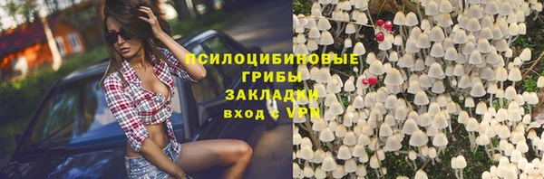 прущие крисы Абаза