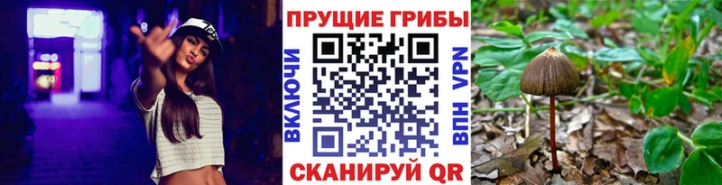 даркнет сайт  МЕГА сайт  Галлюциногенные грибы ЛСД  Касли 
